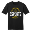 NKU Esports Est. 2021