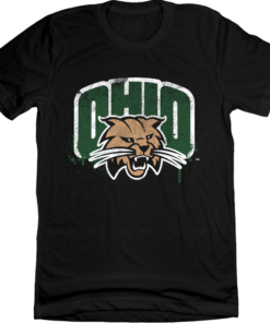 Ohio University Grunge Logo