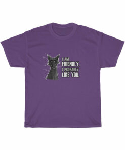 I probably DON’T hate you -T-Shirt