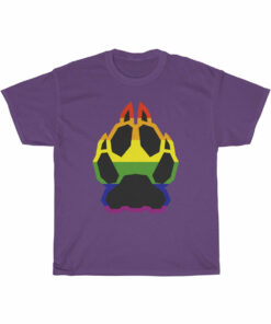 Pride Fox – T-Shirt