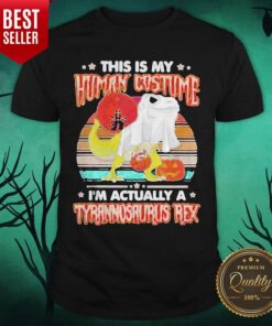 Dinosaur Ghost This Is Human Costume I’m Actually A Tyrannosaurus Rex Sunset Vintage Retro Halloween Shirt