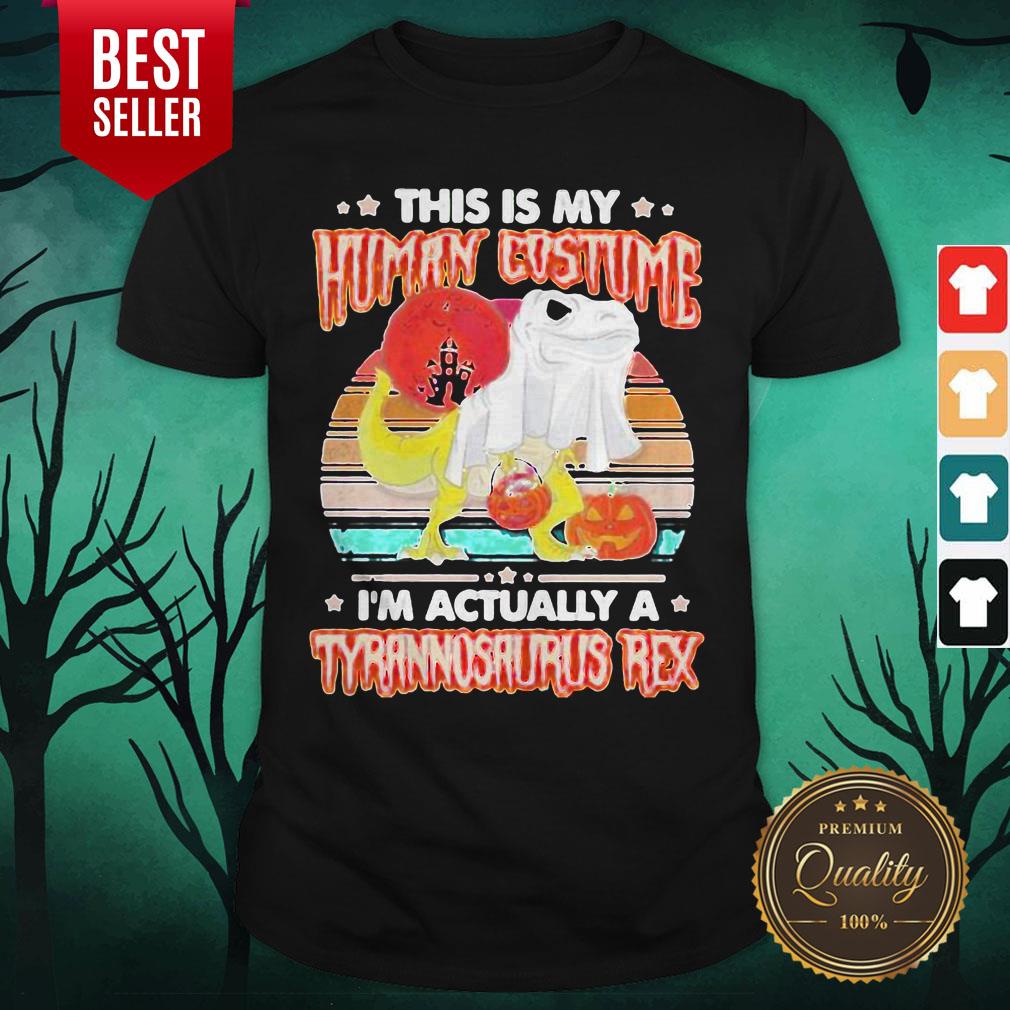 Dinosaur Ghost This Is Human Costume I'm Actually A Tyrannosaurus Rex Sunset Vintage Retro Halloween Shirt Dinosaur Ghost This Is Human Costume I'm Actually A Tyrannosaurus Rex Sunset Vintage Retro Halloween Shirt