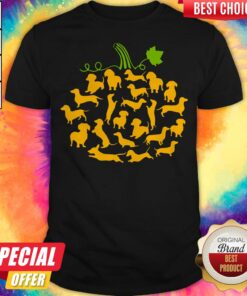 Funny Dachshund Pumpkin Halloween Shirt