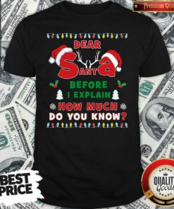 Good Dear Santa Before I Explain How Much Do You Know Christmas Shirt Good Dear Santa Before I Explain How Much Do You Know Christmas Shirt