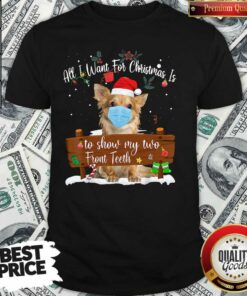 Good Pomeranian Dog Face Mask Call I Want For Christmas Is To Show My Turo Front Teeth Merry Christmas Shirt Good Pomeranian Dog Face Mask Call I Want For Christmas Is To Show My Turo Front Teeth Merry Christmas Shirt