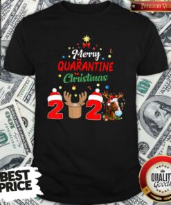 Perfect Merry Quarantine Christmas 2020 Shirt