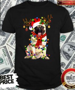 Pretty Santa Pug Reindeer Light Christmas Shirt Pretty Santa Pug Reindeer Light Christmas Shirt