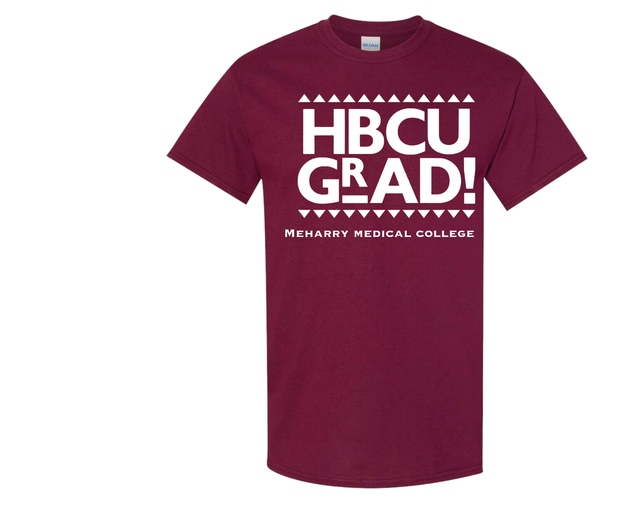 HBCU GRAD-Meharry Medical College HBCU GRAD-Meharry Medical College