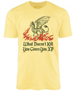 What Doesn’t Kill You Gives You XP – Unisex T-Shirt